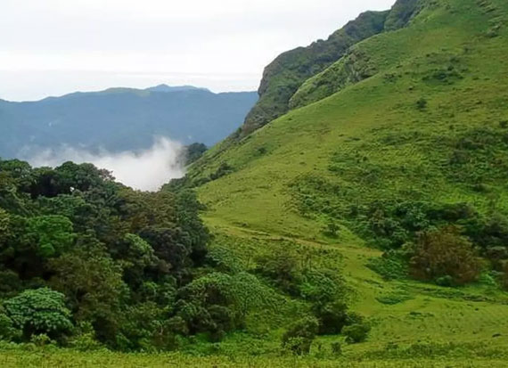 coorg