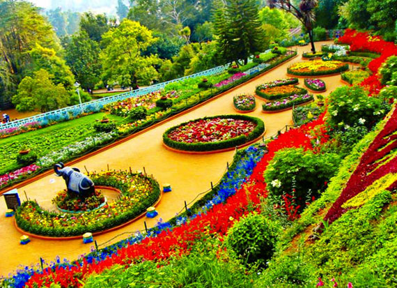 Ooty Tour Package from Coimbatore 