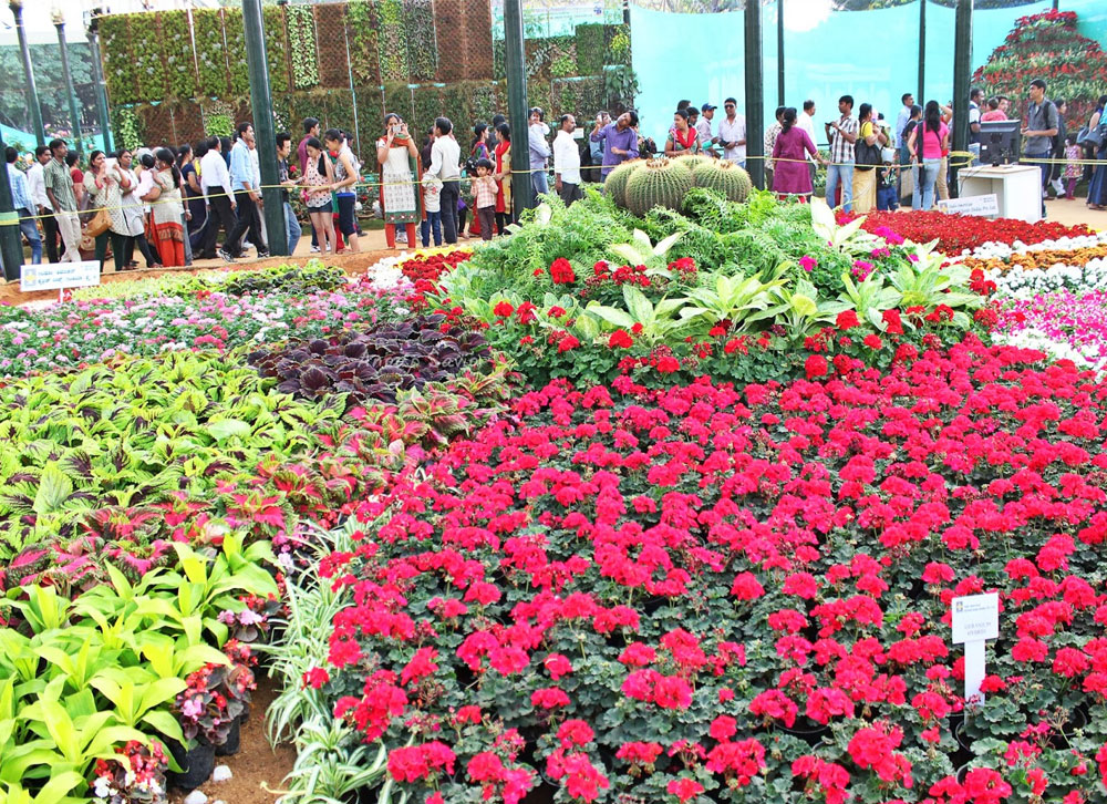 botanical garden ooty