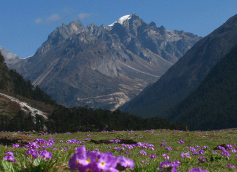 Gangtok-Himaliyas