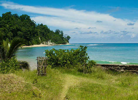 andaman beach from coimbatore