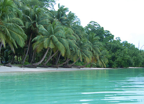 andaman school tour package