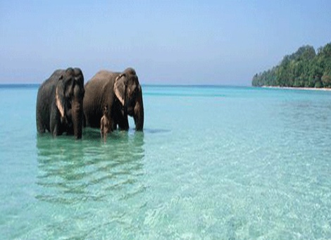 port blair andaman package