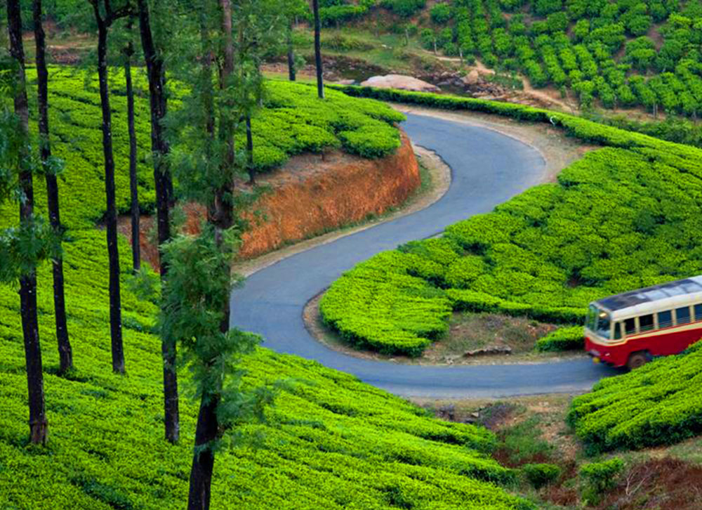 munnar